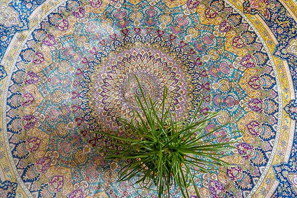 Silk Collection - House of Haghi