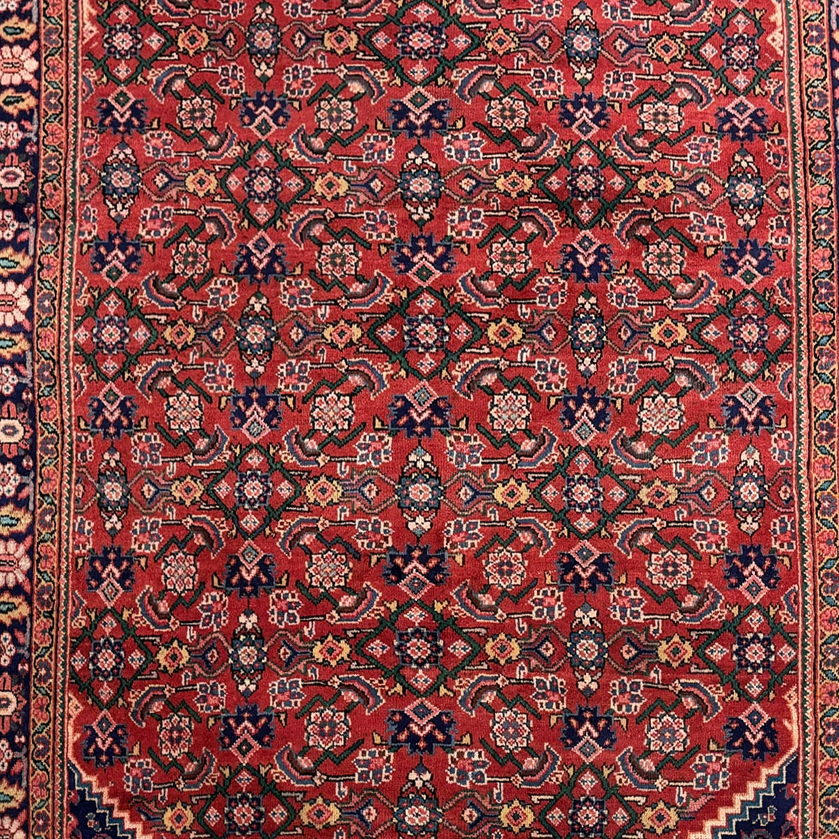 Fine Hand-knotted Viss Persian Rug 210cm x 322cm