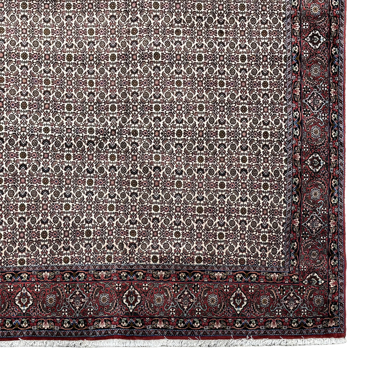 Fine Hand-knotted Wool Bijar Persian Rug 207cm x 301cm