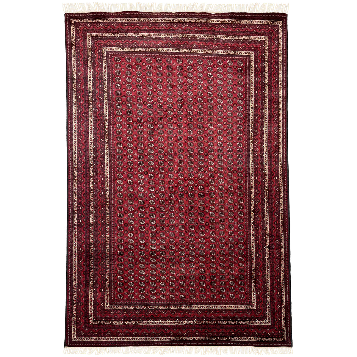 Super Fine Hand knotted Wool Turkmen Rug 195cm x 285cm