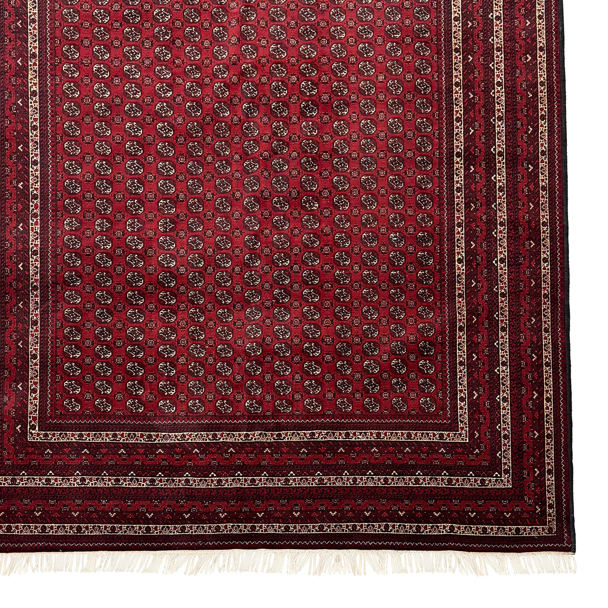 Super Fine Hand knotted Wool Turkmen Rug 195cm x 285cm