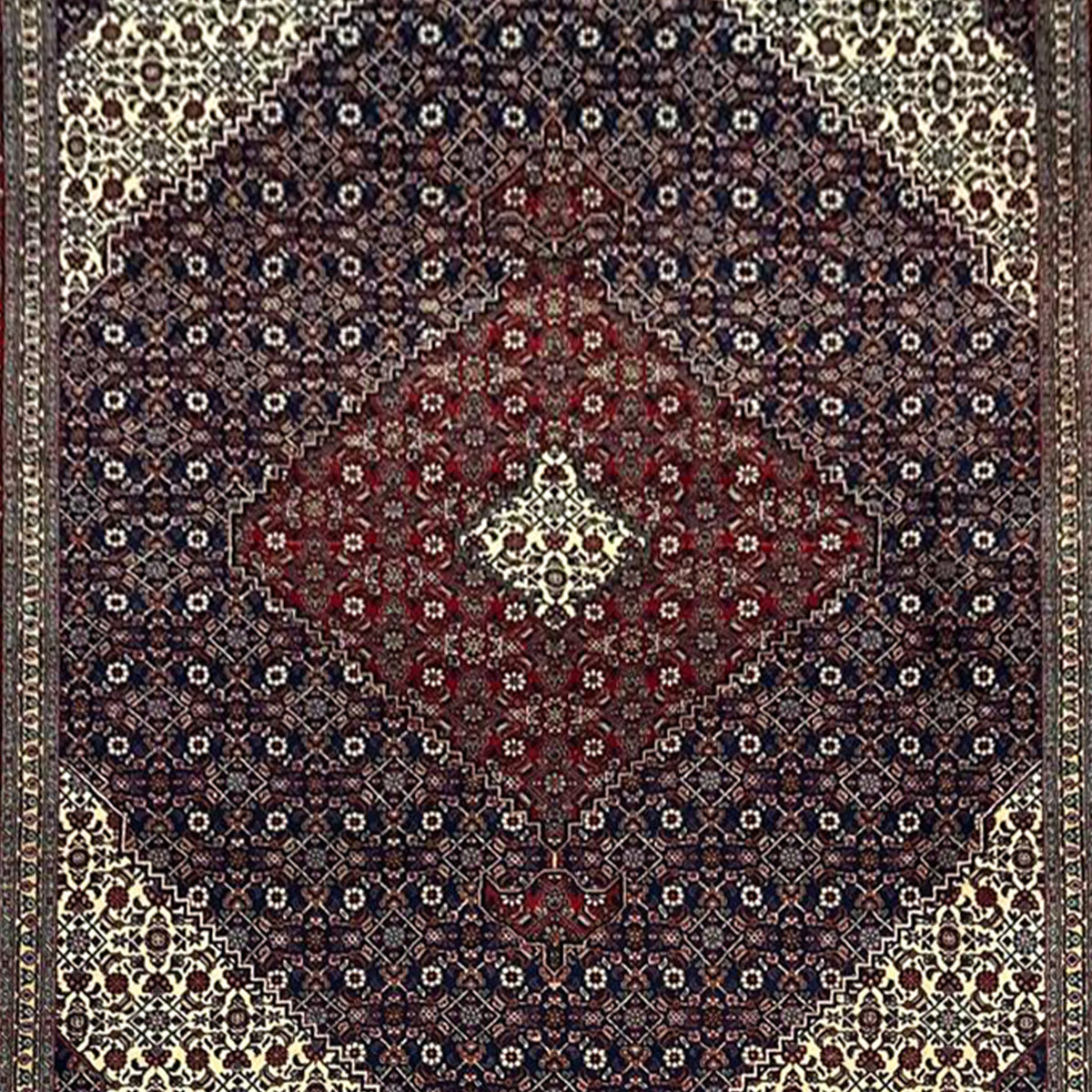 Fine Hand-knotted Wool Senneh Persian Rug 203cm x 280cm