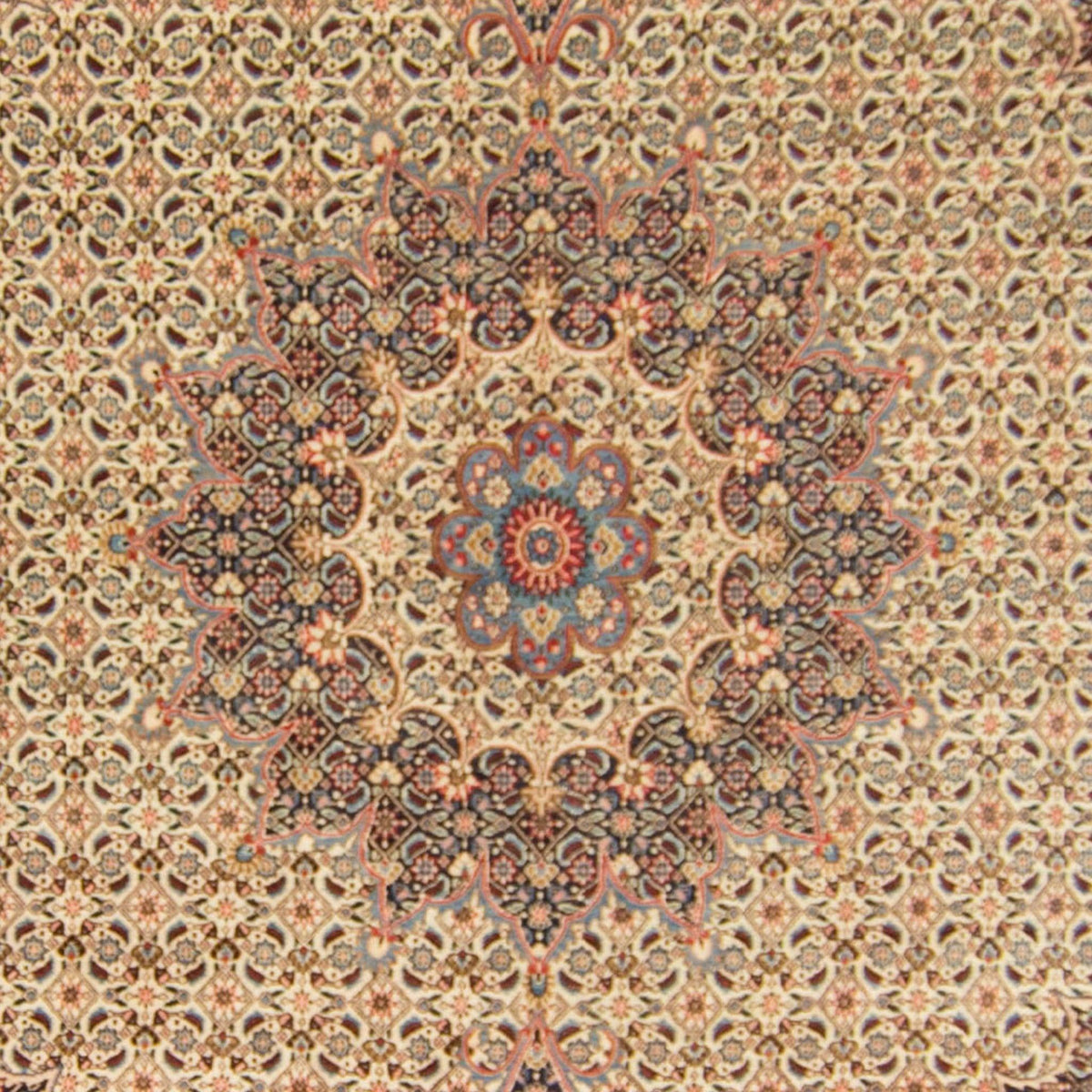 Beautiful Fine Hand-knotted Persian Wool Birjand Rug 266cm x 385cm