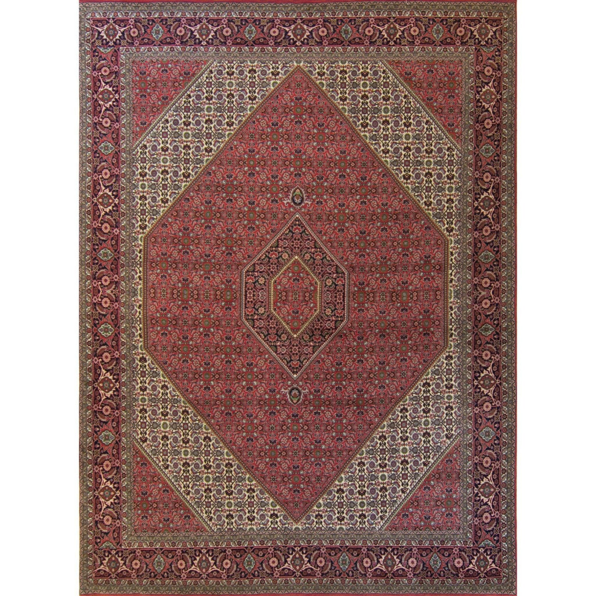 Super Fine Hand-knotted Persian Bijar Rug 250cm x 350cm