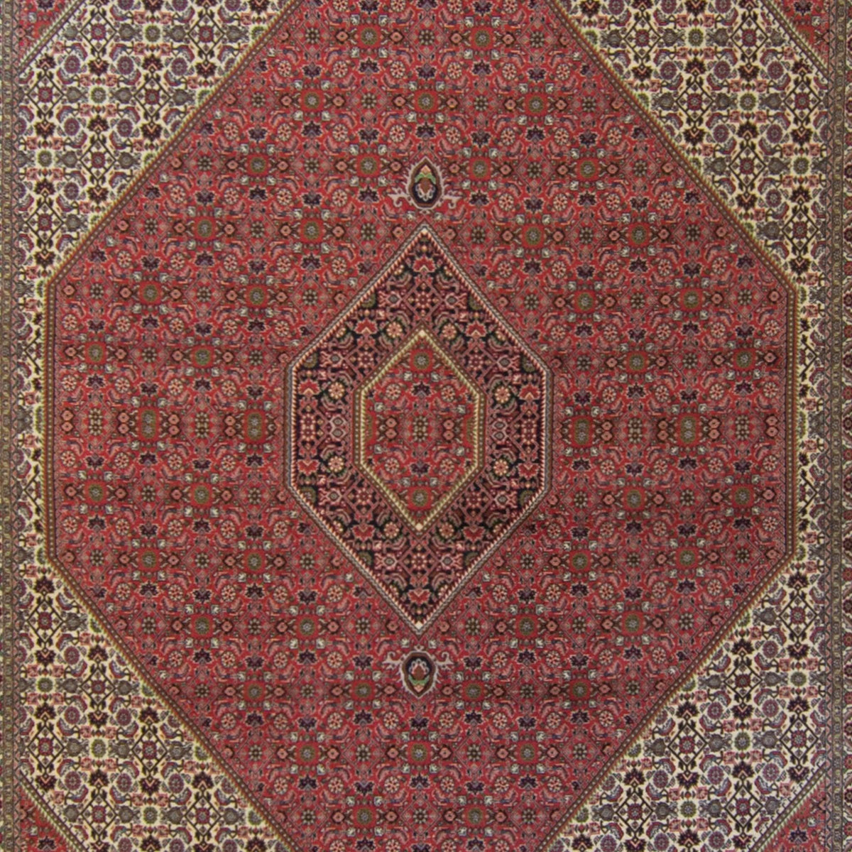 Super Fine Hand-knotted Persian Bijar Rug 250cm x 350cm