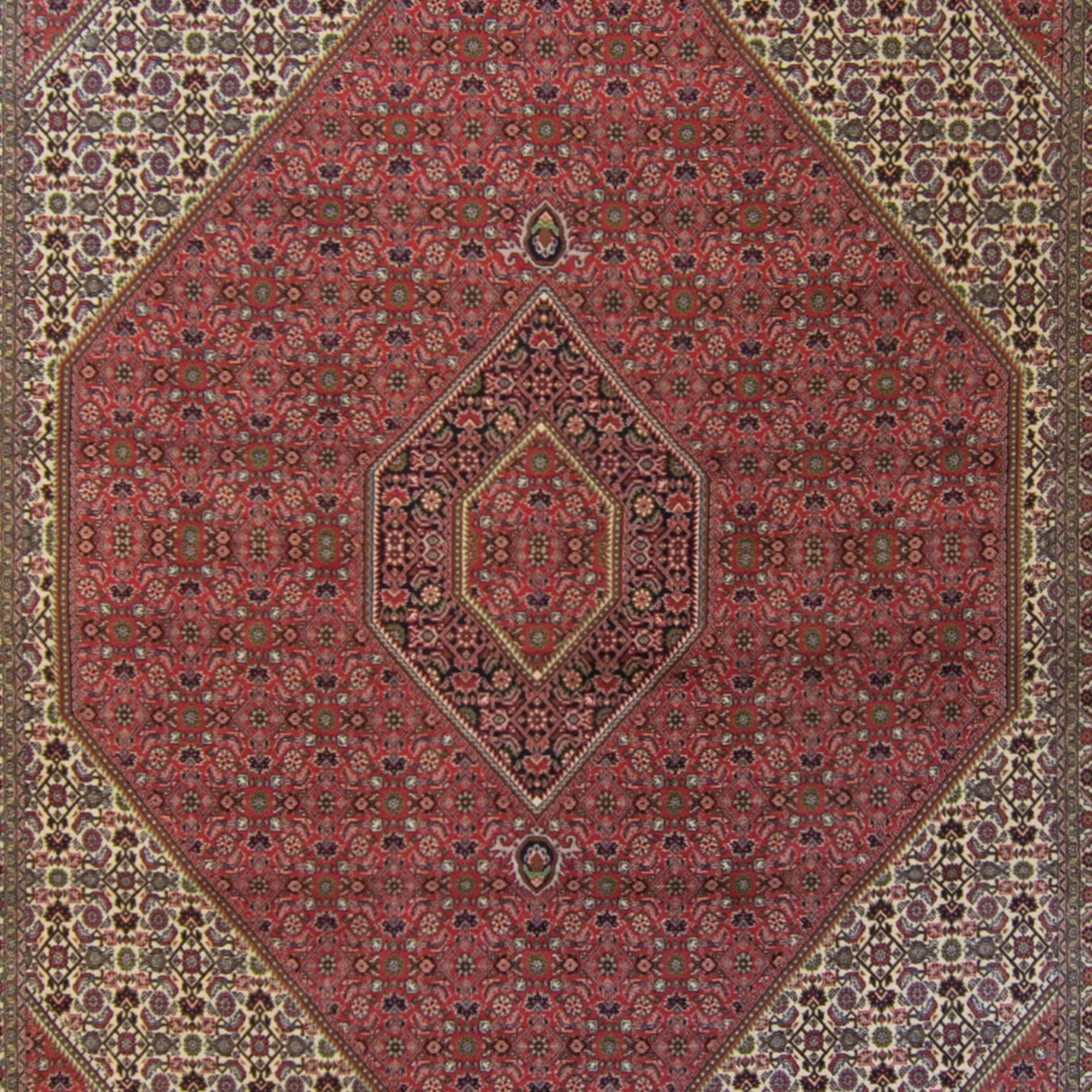 Super Fine Hand-knotted Persian Bijar Rug 250cm x 350cm