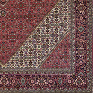 Super Fine Hand-knotted Persian Bijar Rug 250cm x 350cm