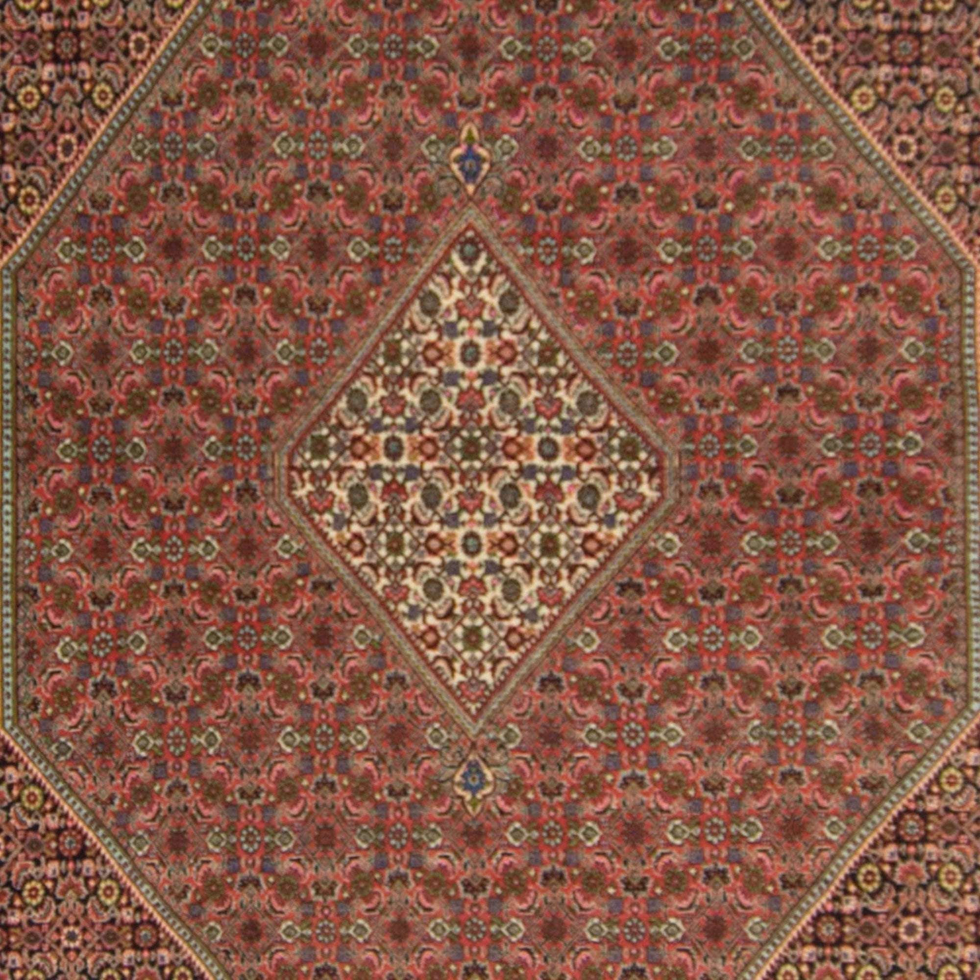 Super Fine Hand-knotted Persian Wool Bijar Rug 266cm x 335cm