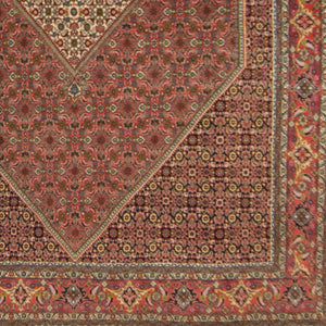 Super Fine Hand-knotted Persian Wool Bijar Rug 266cm x 335cm