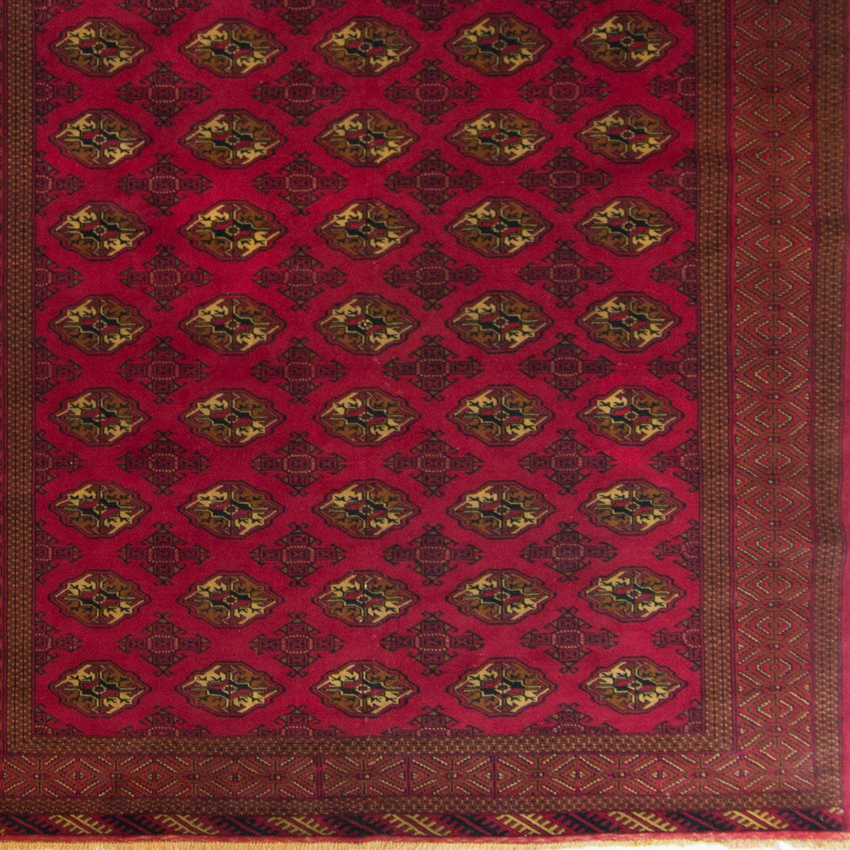 Fine Hand-knotted 100% Wool Turkmen Rug 245cm x 337cm