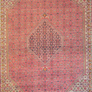 Super Fine Hand-knotted Persian Wool Bijar Rug 245cm x 360cm