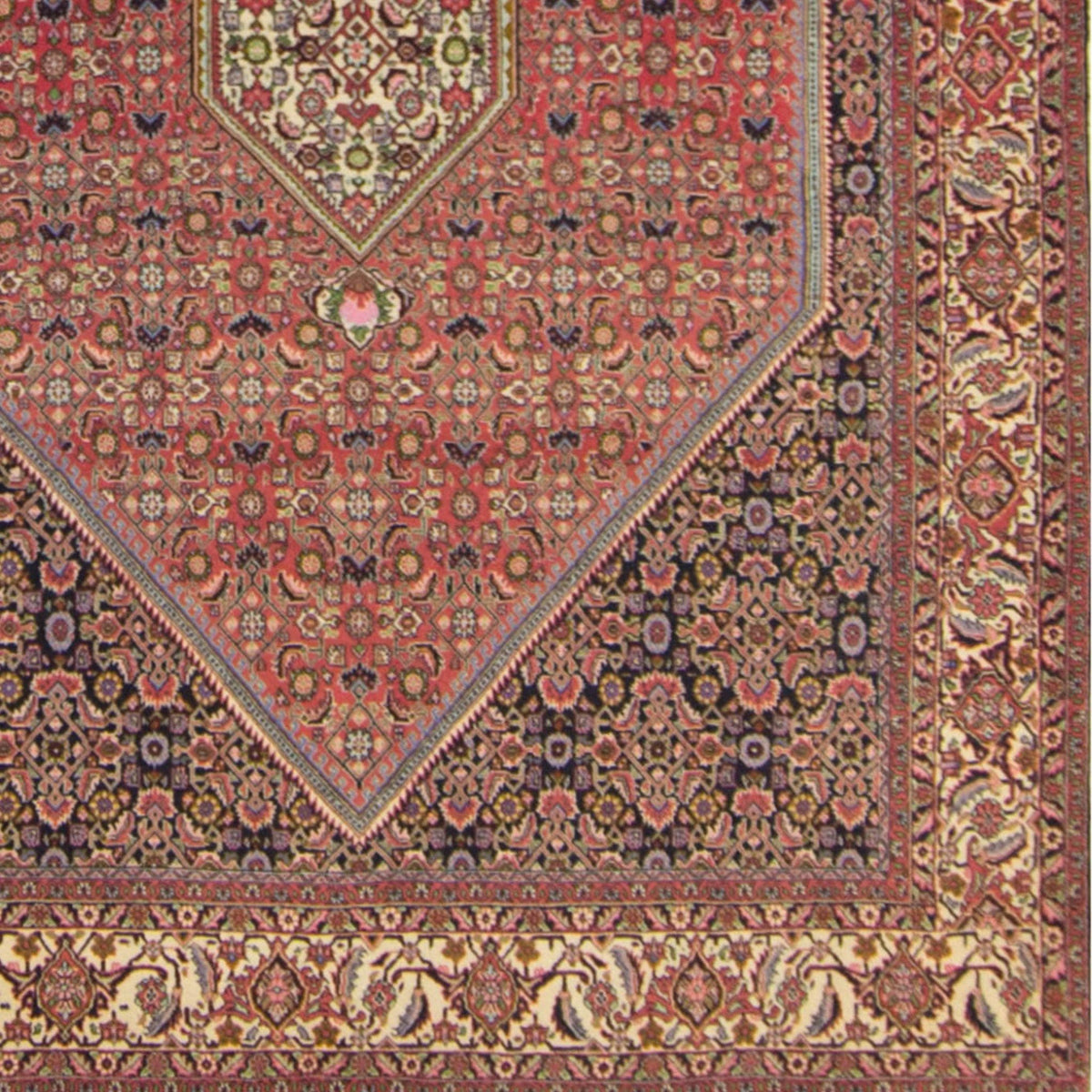 Super Fine Hand-knotted Wool Bijar Persian Rug 205cm x 297cm