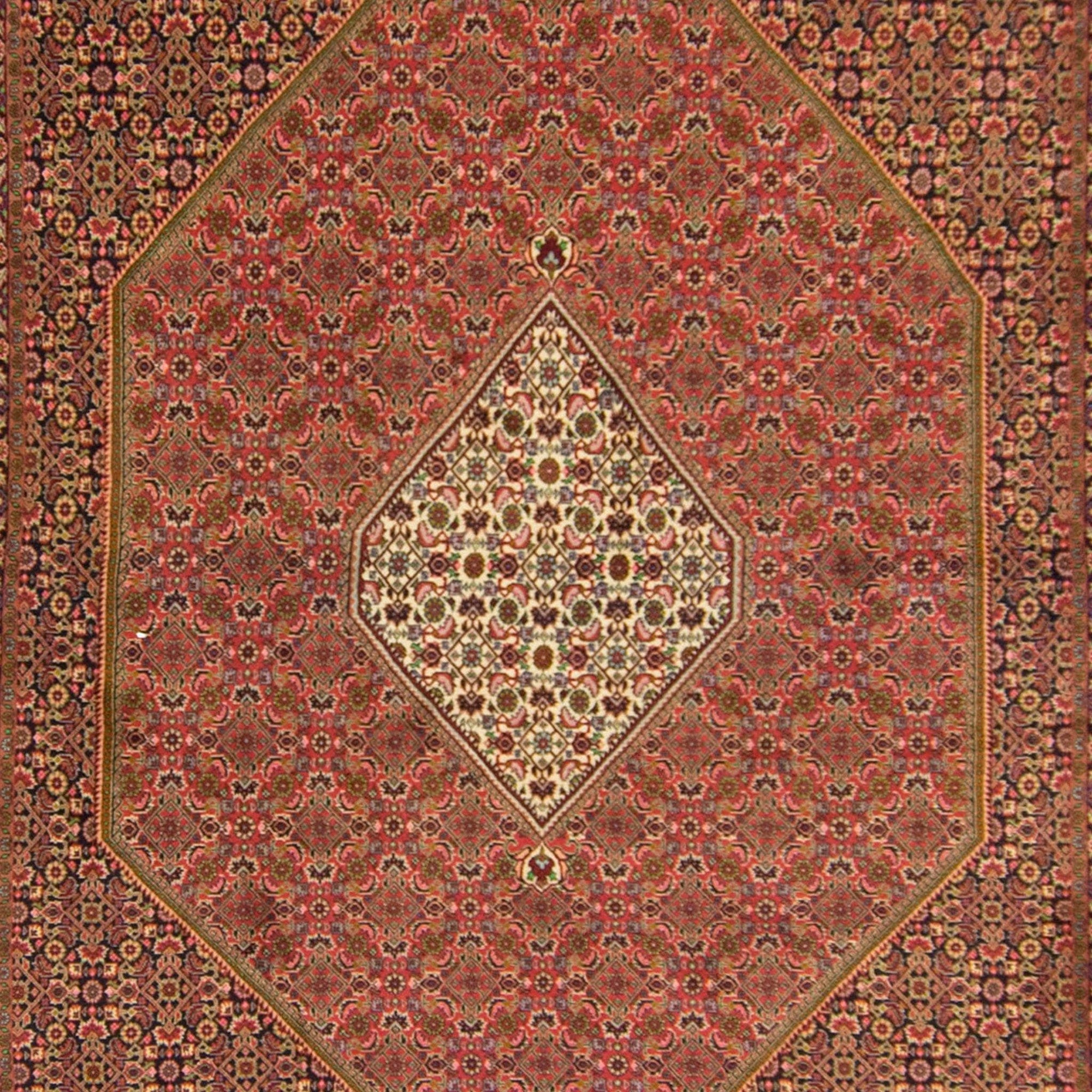 Super Fine Hand-knotted Persian Bijar Rug 246cm x 342cm