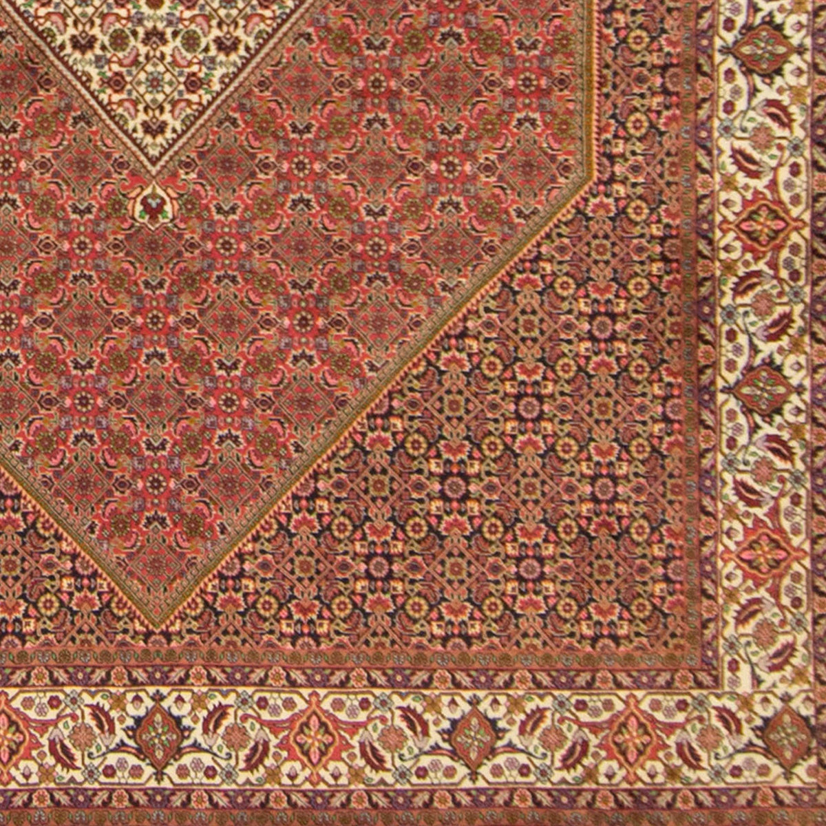 Super Fine Hand-knotted Persian Bijar Rug 246cm x 342cm