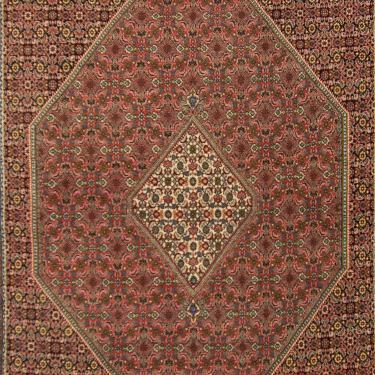 Super Fine Hand-knotted Persian Wool Bijar Rug 252cm x 352cm