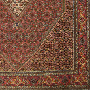 Super Fine Hand-knotted Persian Wool Bijar Rug 252cm x 352cm
