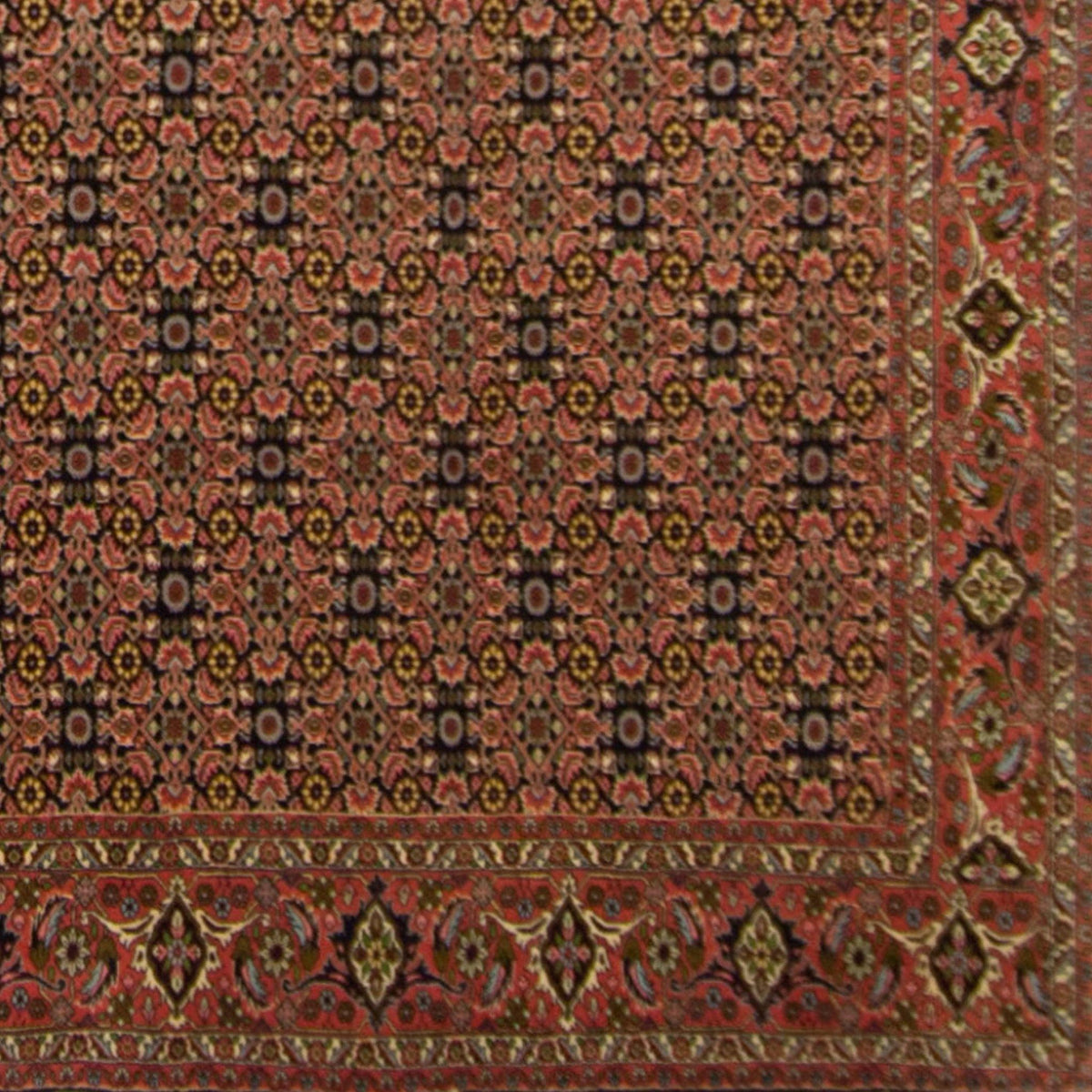 Super Fine Hand-knotted Persian Wool Bijar Rug 250cm x 339cm