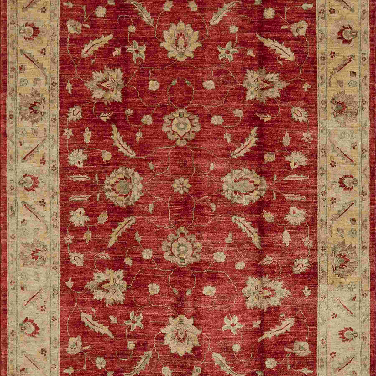 Fine Hand-knotted Wool Rug 152cm x 197cm