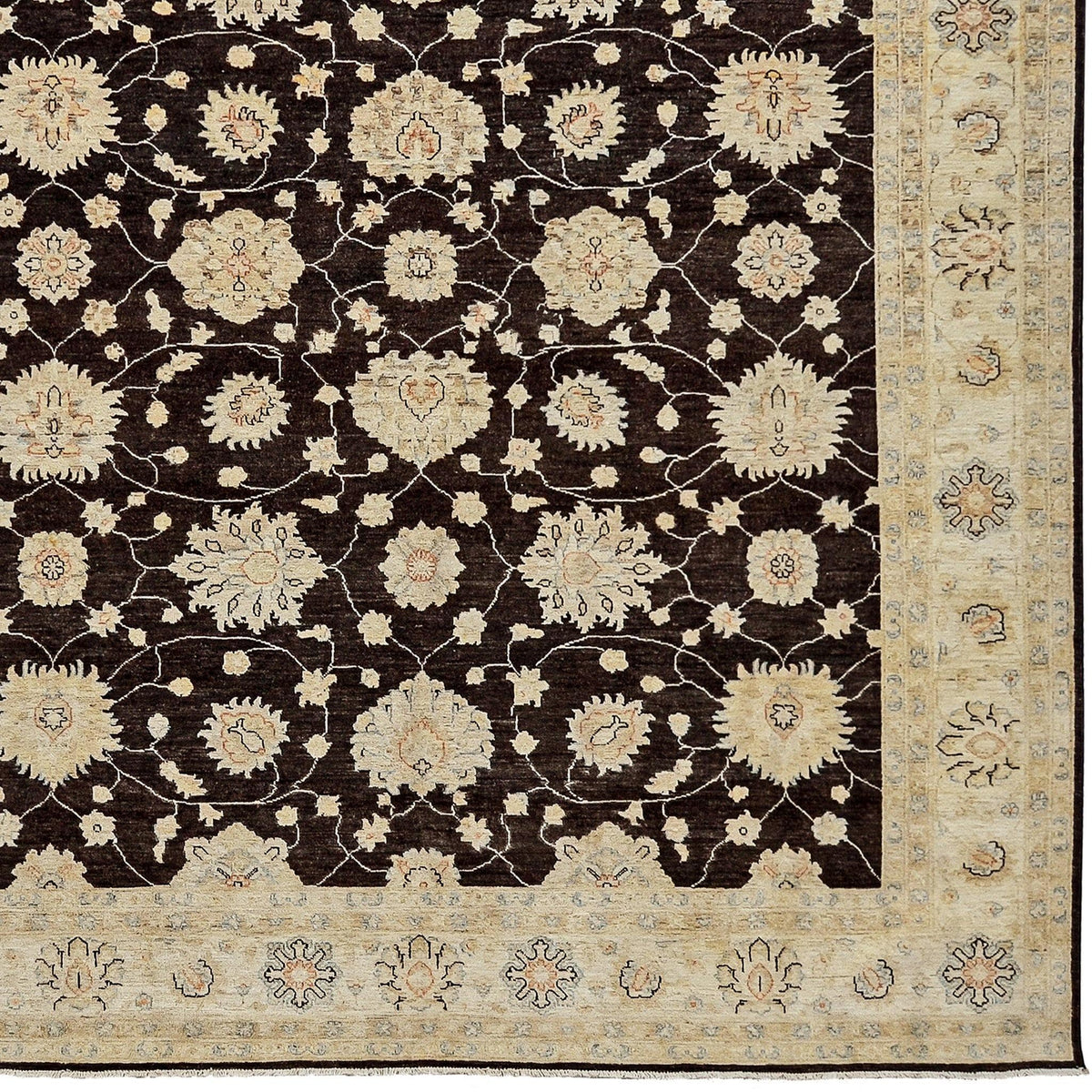 Fine Hand-knotted Transitional Wool Rug 244cm x 319cm