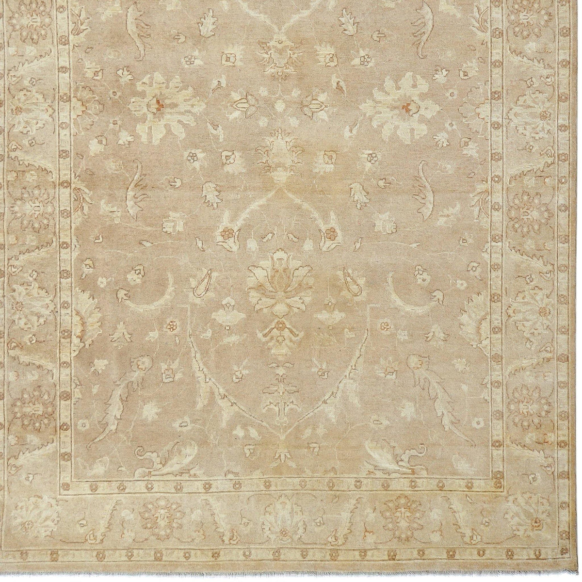 Fine Hand-knotted Colour Reform Wool Rug 194cm x 285cm