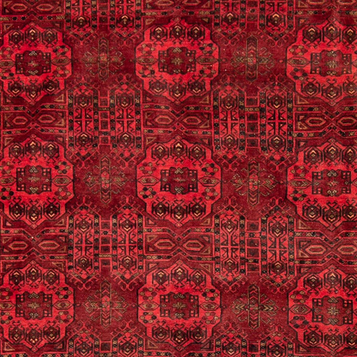 Fine Hand-knotted Wool Tribal Turkmen Rug 208cm x283cm