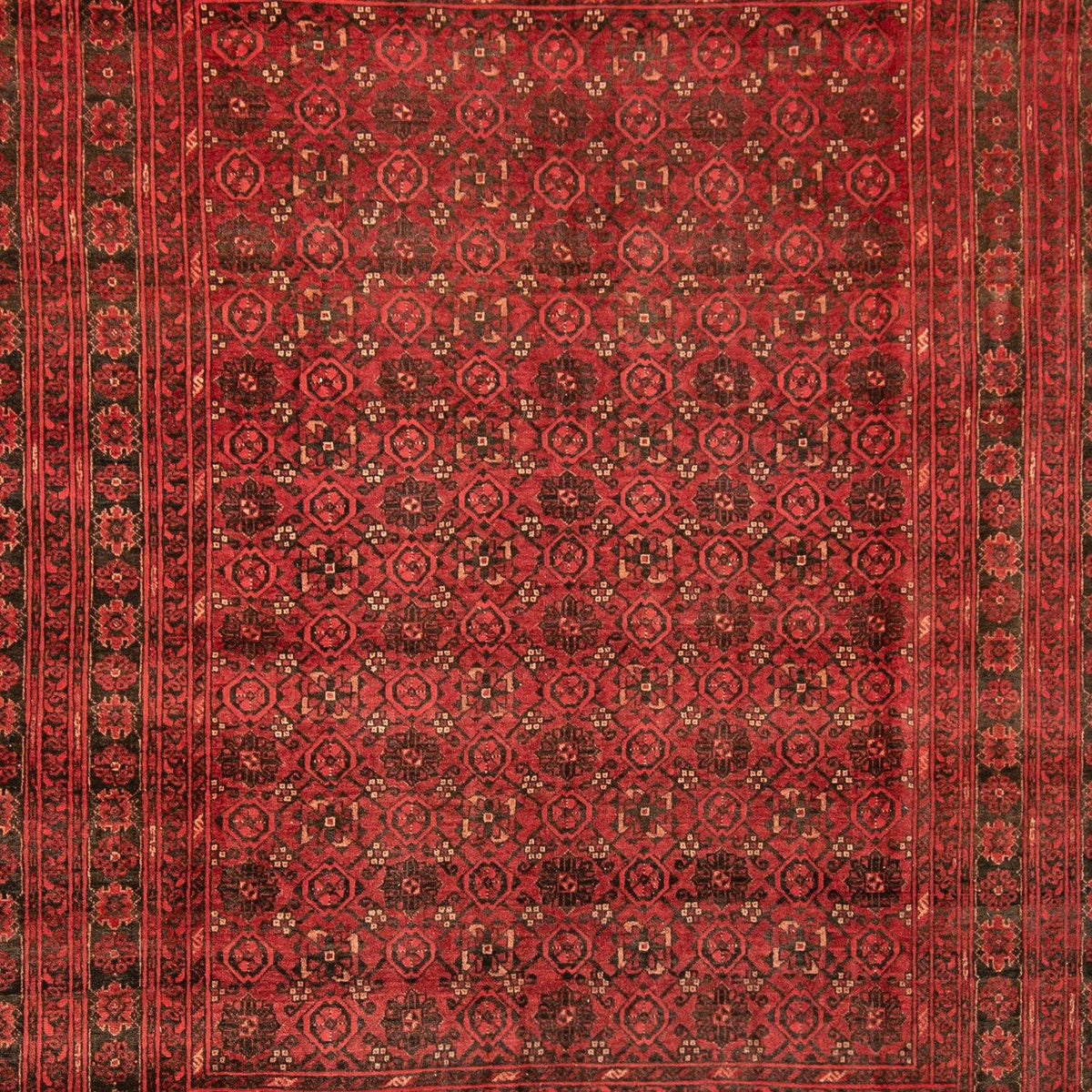 Hand-knotted Wool Afghan Turkmen Rug 204cm x 280cm