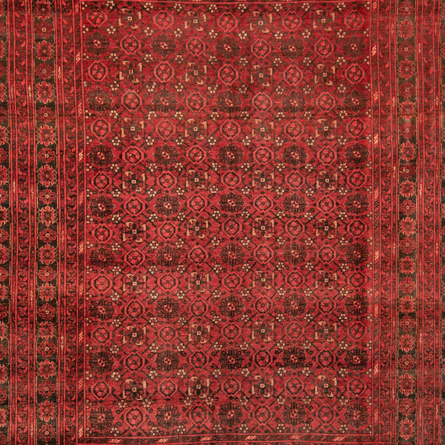 Hand-knotted Wool Afghan Turkmen Rug 204cm x 280cm