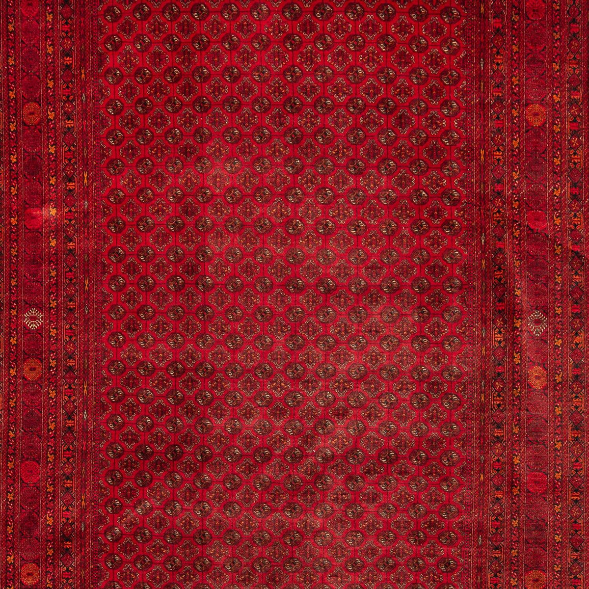 Super Fine Hand-knotted Bokara Wool Rug 199cm x 287cm