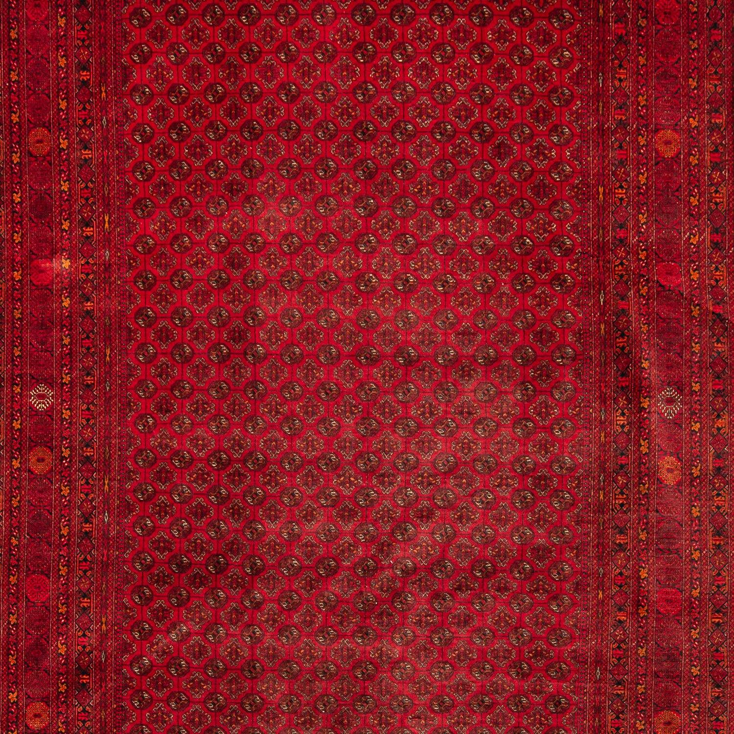 Super Fine Hand-knotted Bokara Wool Rug 199cm x 287cm